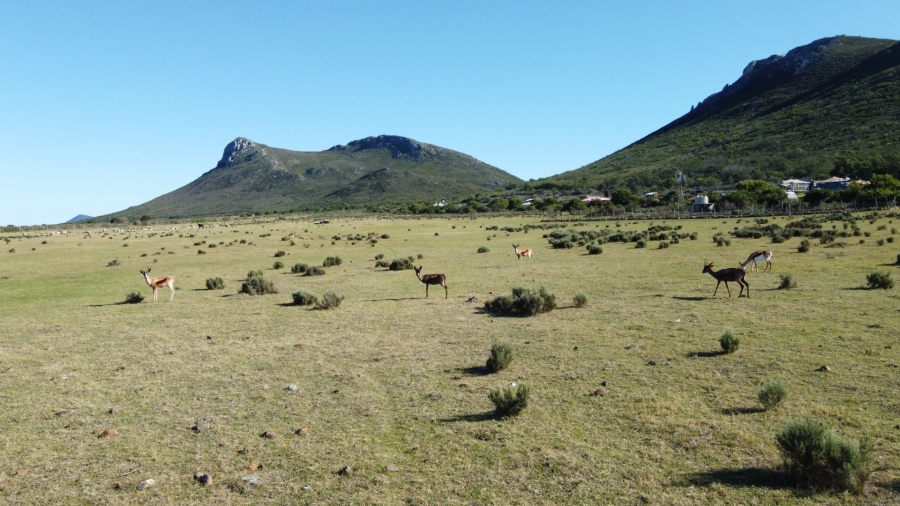 2 Bedroom Property for Sale in Gouritsmond Rural Western Cape